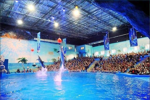 荊州水族店【荊州小梅沙海洋館揭幕啦,帶您暢游2萬平米海底世界!】