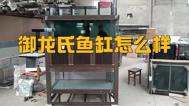 龍魚缸選哪個牌子好【京東龍魚缸水族箱品牌排行榜京東龍魚缸品牌排行榜】 龍魚缸選哪個牌子好【京東龍魚缸水族箱品牌排行榜京東龍魚缸品牌排行榜】 龍魚百科 第4張