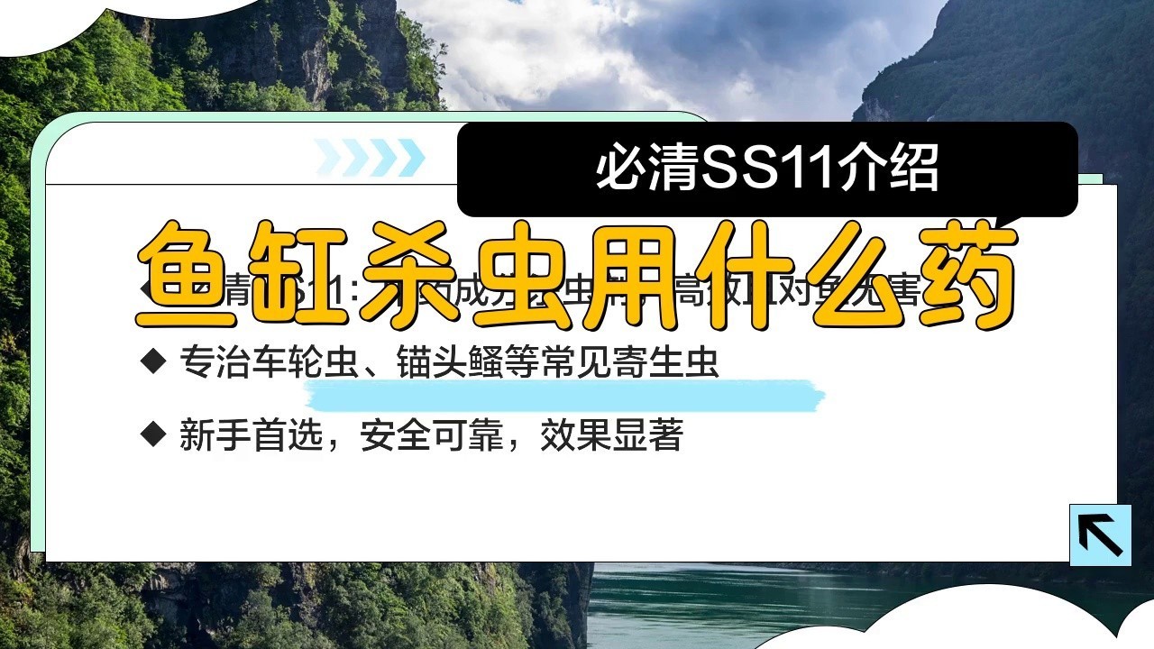 龍魚(yú)驅(qū)蟲(chóng)藥有哪些品牌推薦？【關(guān)于龍魚(yú)驅(qū)蟲(chóng)藥品牌推薦】