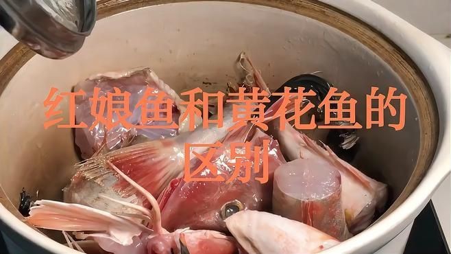 紅頭魚是什么魚【紅頭魚是什么魚紅頭魚的營養價值：紅頭魚燉豆腐的做法】 紅頭魚是什么魚【紅頭魚是什么魚紅頭魚的營養價值：紅頭魚燉豆腐的做法】 龍魚論壇 第5張