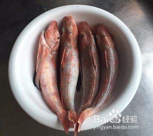 紅頭魚是什么魚【紅頭魚是什么魚紅頭魚的營養價值：紅頭魚燉豆腐的做法】 紅頭魚是什么魚【紅頭魚是什么魚紅頭魚的營養價值：紅頭魚燉豆腐的做法】 龍魚論壇 第9張