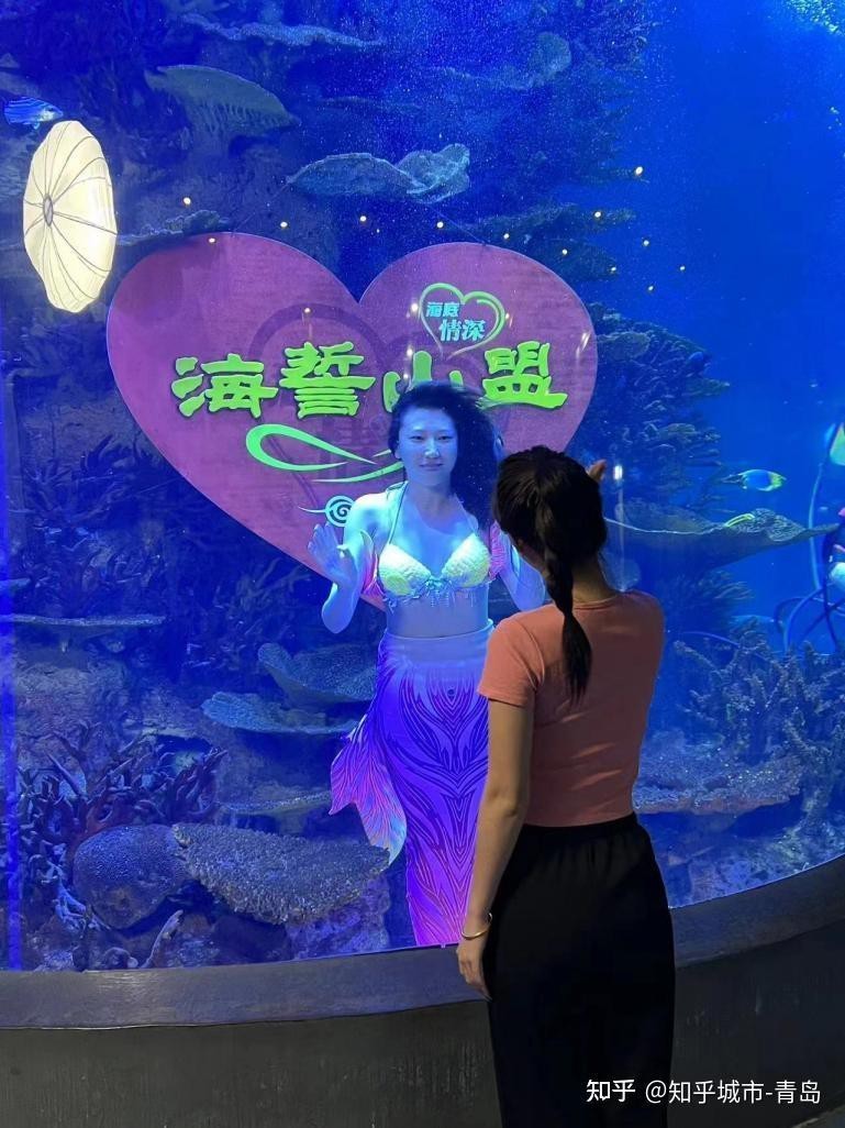 淇縣水族店【《淇縣水族店：水中精靈的奇妙世界》】