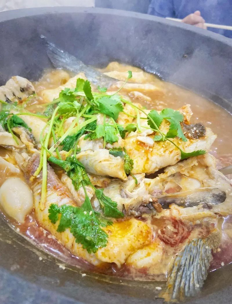 咸安龍魚店【咸安龍魚店哪家口碑最好】