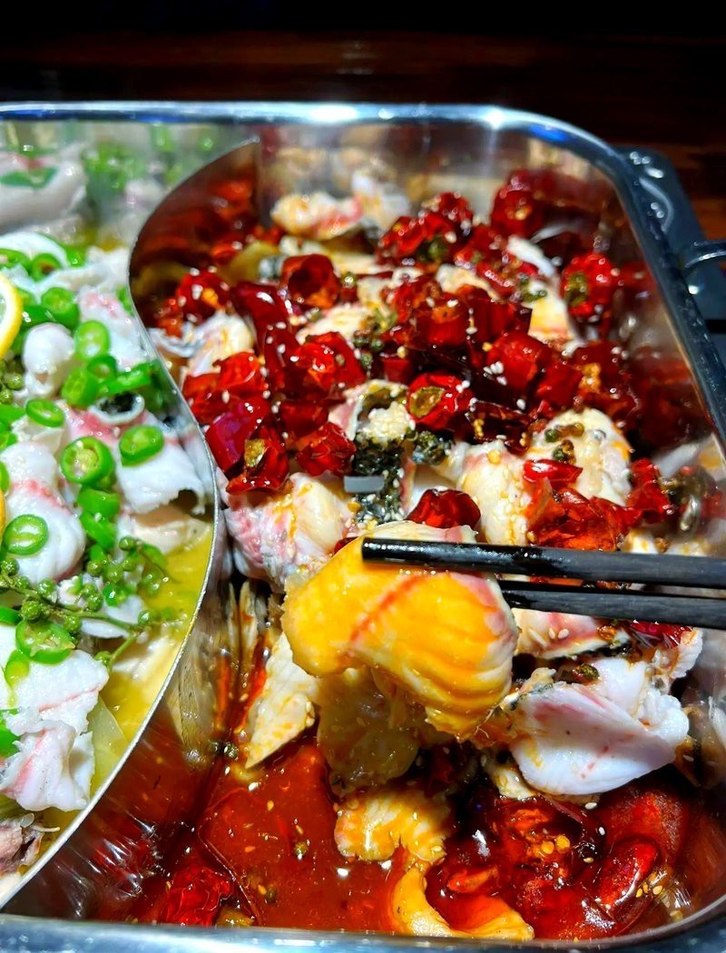 隆德龍魚店【水族世界的奇妙角落——隆德龍魚】