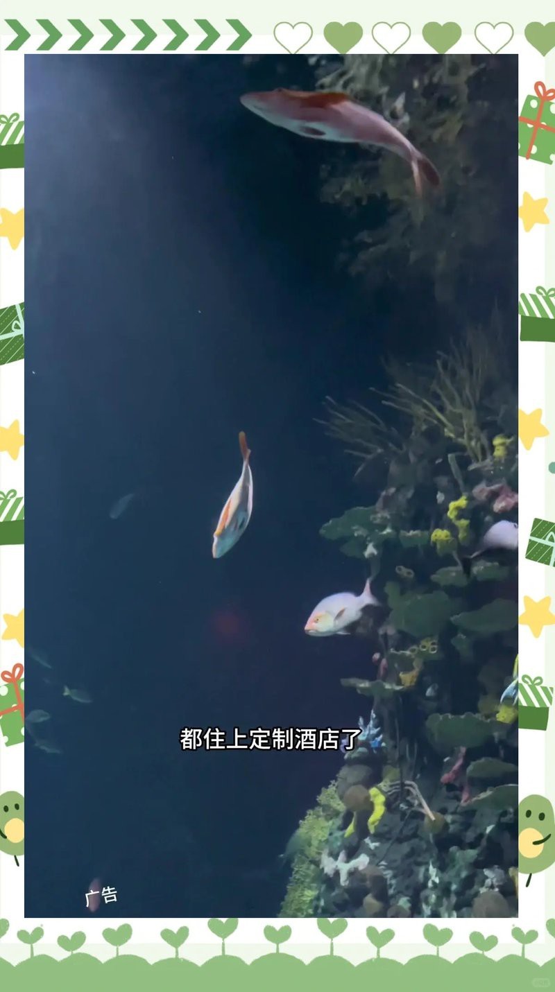 長豐水族店【水族愛好者的奇妙天地——長豐水族店】