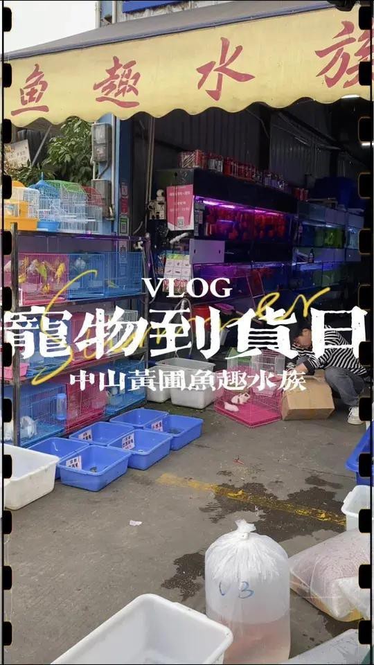 長豐水族店【水族愛好者的奇妙天地——長豐水族店】
