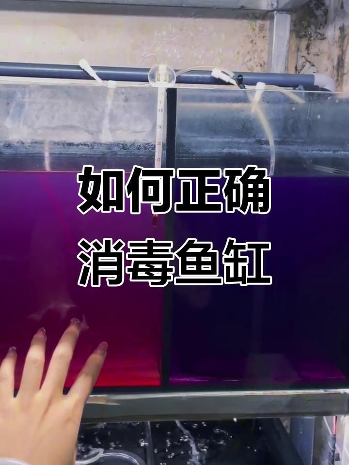 如何判斷魚(yú)缸是否需要消毒？【新魚(yú)缸真的需要消毒嗎什么情況下魚(yú)缸必須要消毒嗎】