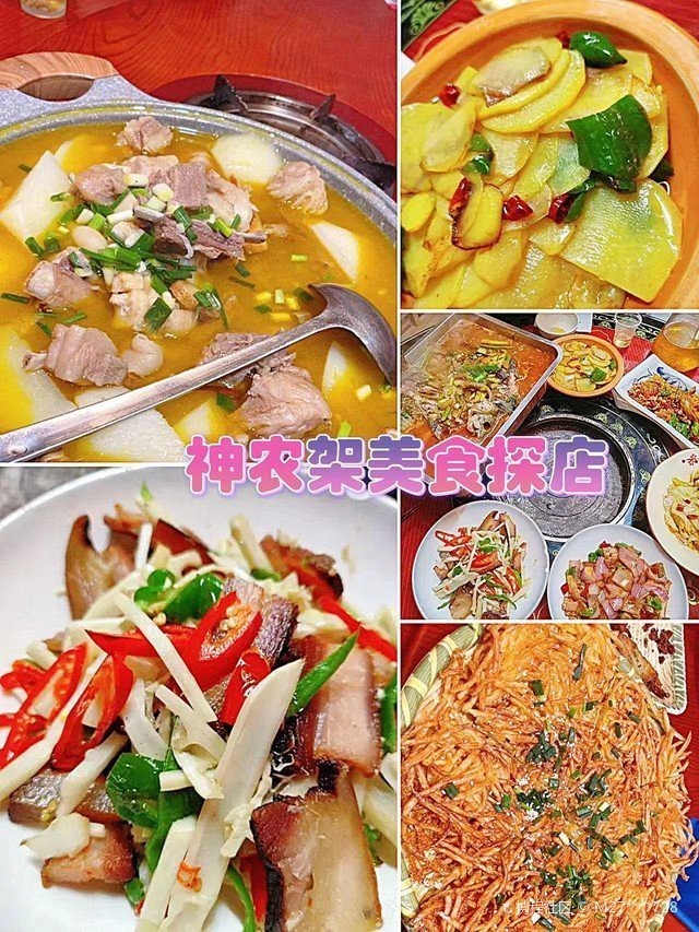 神農架龍魚店【神農架龍魚店有包廂嗎】