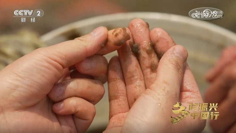 雷州龍魚店【雷州有龍魚專賣店嗎】 雷州龍魚店【雷州有龍魚專賣店嗎】 全國水族館企業(yè)名錄 第1張