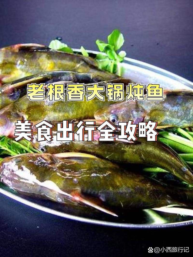 靜海龍魚店【天龍水族館的營(yíng)業(yè)時(shí)間是靜海龍魚店哪家口碑最好】 靜海龍魚店【天龍水族館的營(yíng)業(yè)時(shí)間是靜海龍魚店哪家口碑最好】 全國(guó)水族館企業(yè)名錄 第2張