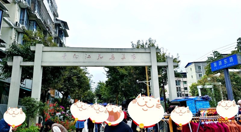 青白江水族店【青白江區水族店怎么樣】 青白江水族店【青白江區水族店怎么樣】 全國水族館企業名錄 第1張