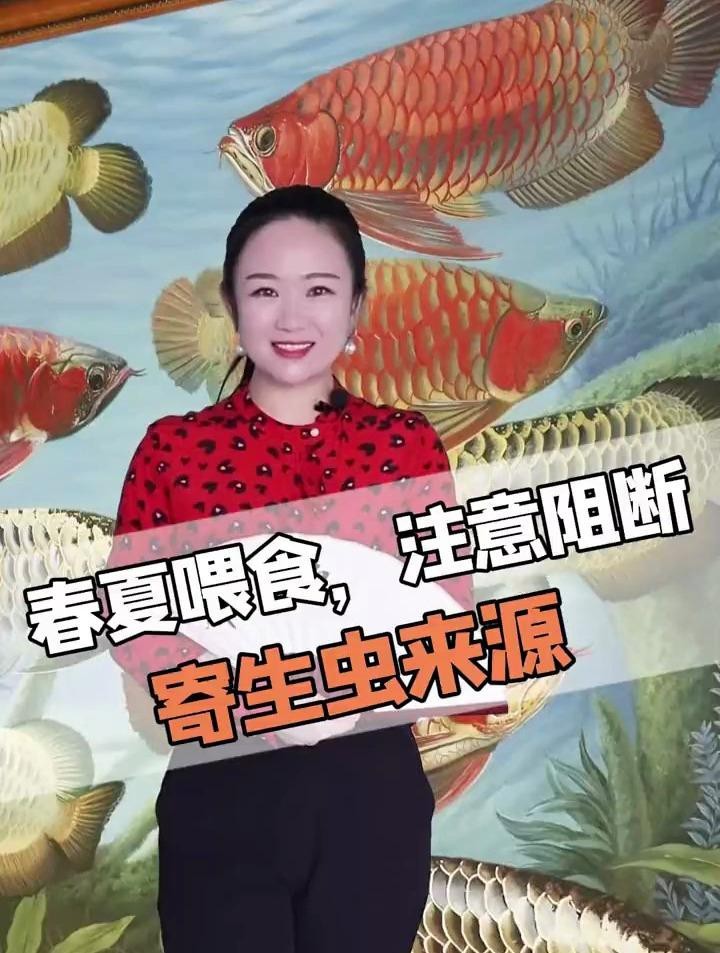如何預防龍魚外寄生蟲的感染？【龍魚體外寄生蟲癥狀與治療方法】 如何預防龍魚外寄生蟲的感染？【龍魚體外寄生蟲癥狀與治療方法】 龍魚百科 第4張