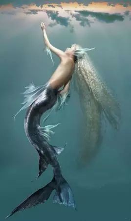 美人魚(yú)仙女【《美人魚(yú)仙女》*長(zhǎng)發(fā)公主驚艷全場(chǎng)團(tuán)子只小藍(lán)胖】