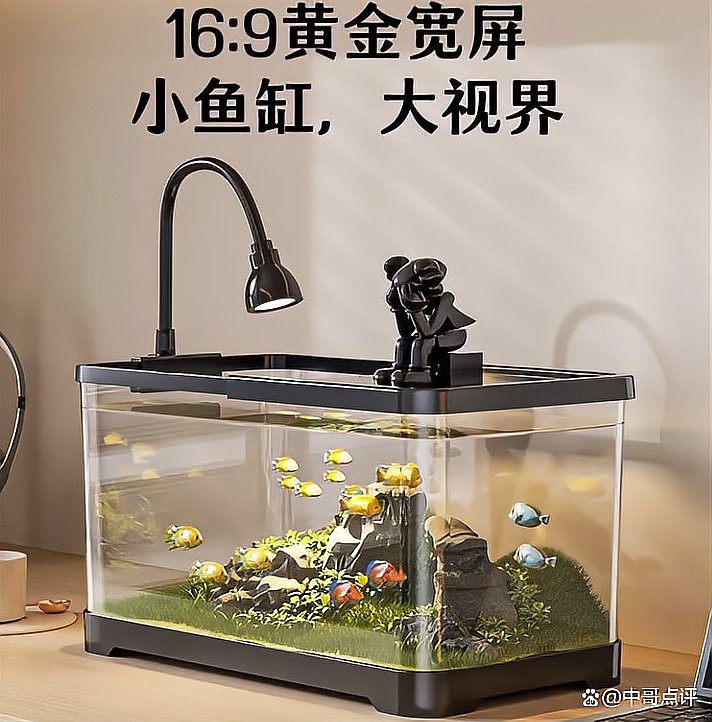 水黃用什么去除【自來水發黃怎么過濾成清水百度教育水黃怎么過濾成清水百度教育】