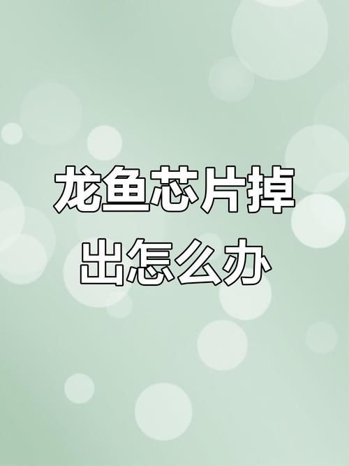 龍魚的芯片在哪個位置示意圖【龍巔龍魚芯片植入位置示意圖，龍魚芯片植入位置示意圖】 龍魚的芯片在哪個位置示意圖【龍巔龍魚芯片植入位置示意圖，龍魚芯片植入位置示意圖】 龍魚百科 第20張