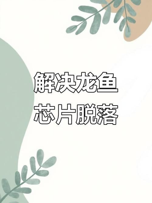 龍魚的芯片在哪個位置示意圖【龍巔龍魚芯片植入位置示意圖，龍魚芯片植入位置示意圖】 龍魚的芯片在哪個位置示意圖【龍巔龍魚芯片植入位置示意圖，龍魚芯片植入位置示意圖】 龍魚百科 第19張