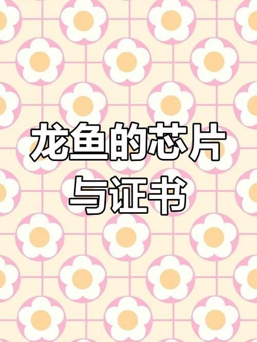 龍魚的芯片在哪個位置示意圖【龍巔龍魚芯片植入位置示意圖，龍魚芯片植入位置示意圖】 龍魚的芯片在哪個位置示意圖【龍巔龍魚芯片植入位置示意圖，龍魚芯片植入位置示意圖】 龍魚百科 第24張
