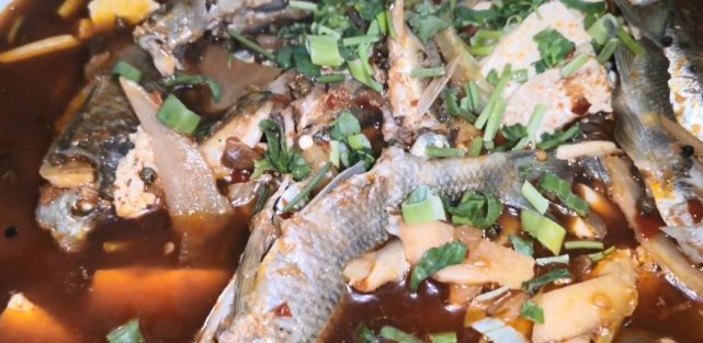 <strong><mark>青川</mark></strong>龍魚店【<strong><mark>青川</mark></strong>龍魚店——獨特水族世界的奇妙角落】