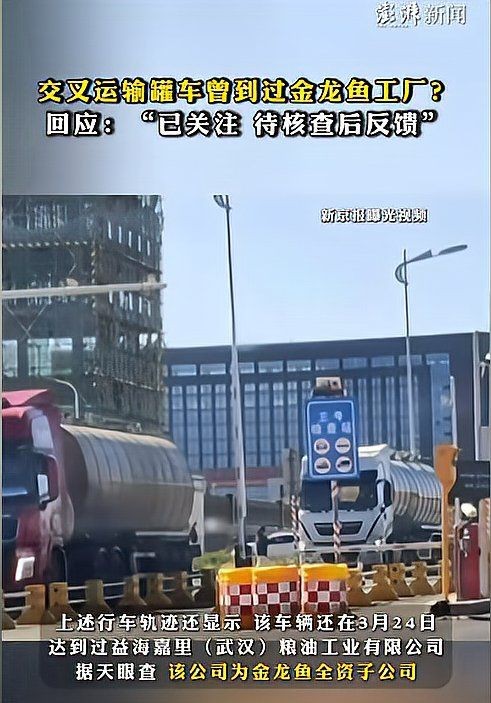 金龍魚10萬一只【金龍魚10萬一只背后的價值與市場現象】
