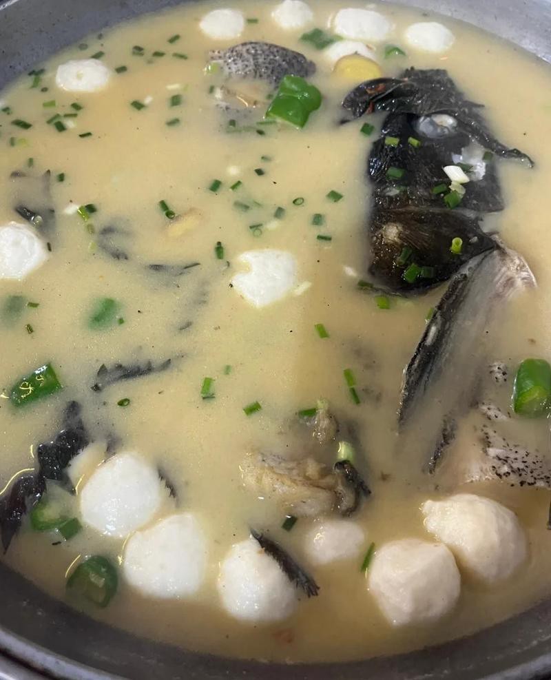 鐵山水族店【別人家的水族店鐵山水族店在哪里】 全國水族館企業名錄 第1張 鐵山水族店【別人家的水族店鐵山水族店在哪里】 鐵山水族店【別人家的水族店鐵山水族店在哪里】 全國水族館企業名錄 第1張