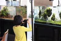 鐵山水族店【別人家的水族店鐵山水族店在哪里】 鐵山水族店【別人家的水族店鐵山水族店在哪里】 全國水族館企業名錄 第5張