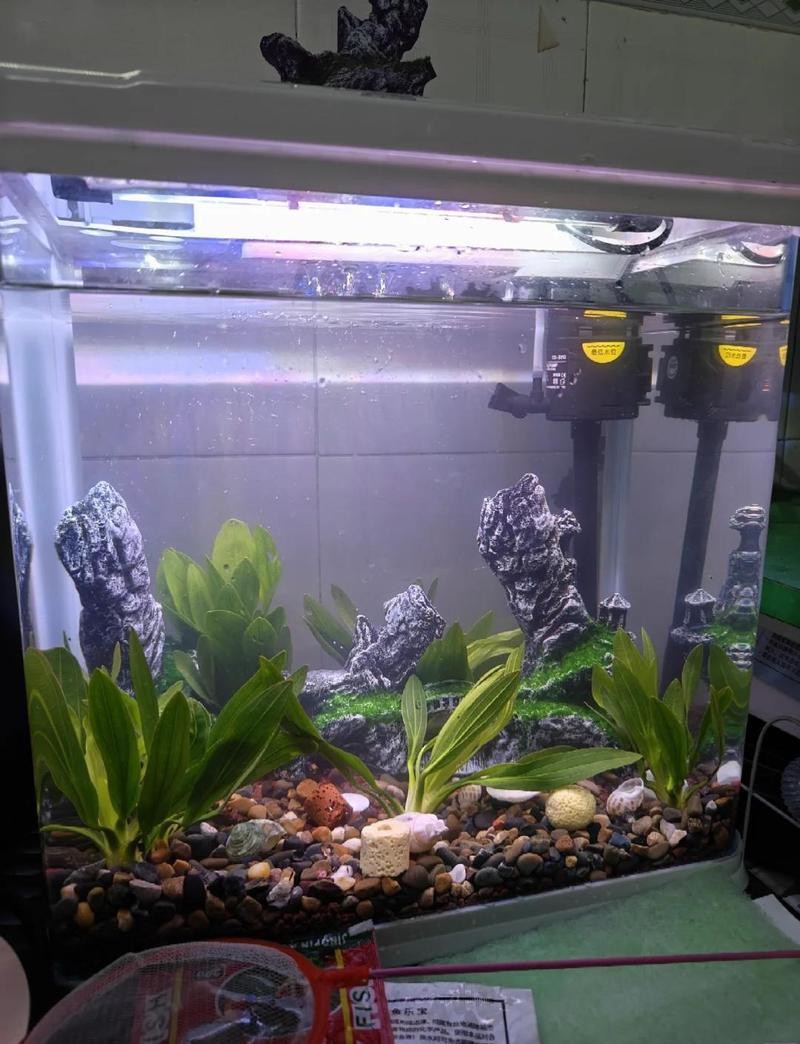 青秀水族店【南寧青秀水族店打卡】