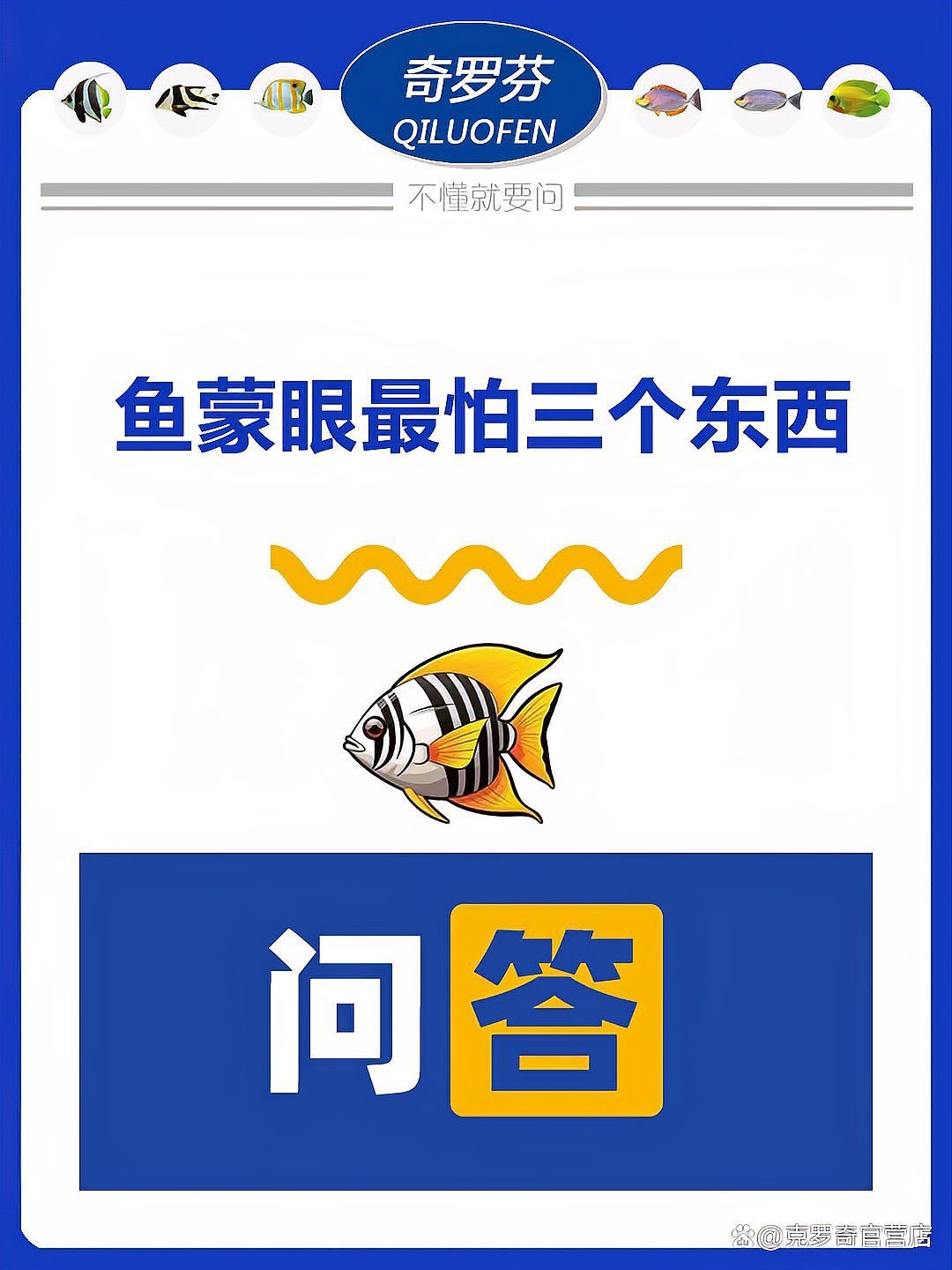 紅龍魚眼最怕三個東西【《紅龍魚眼最怕三個東西》】