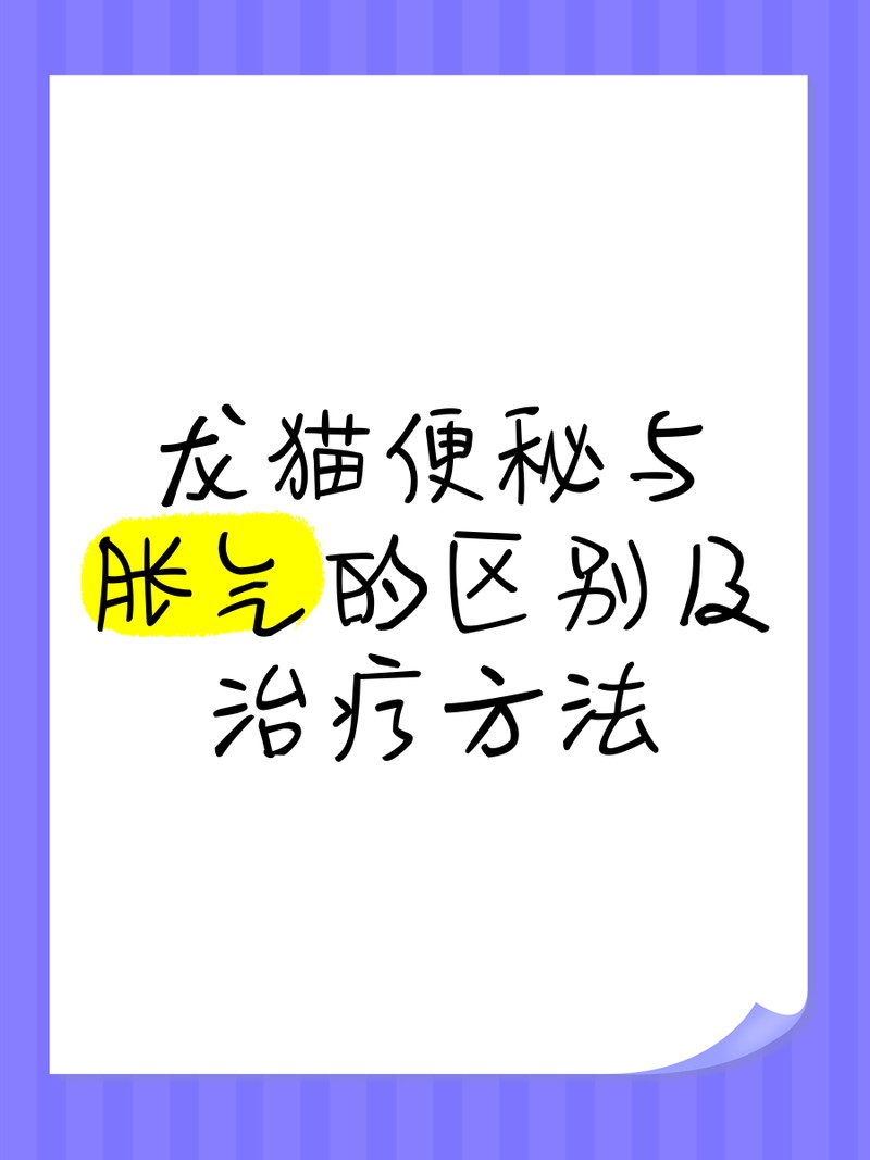 如何判斷龍貓是否準備排便？【判斷龍貓是否準備排便可從多方面觀察】
