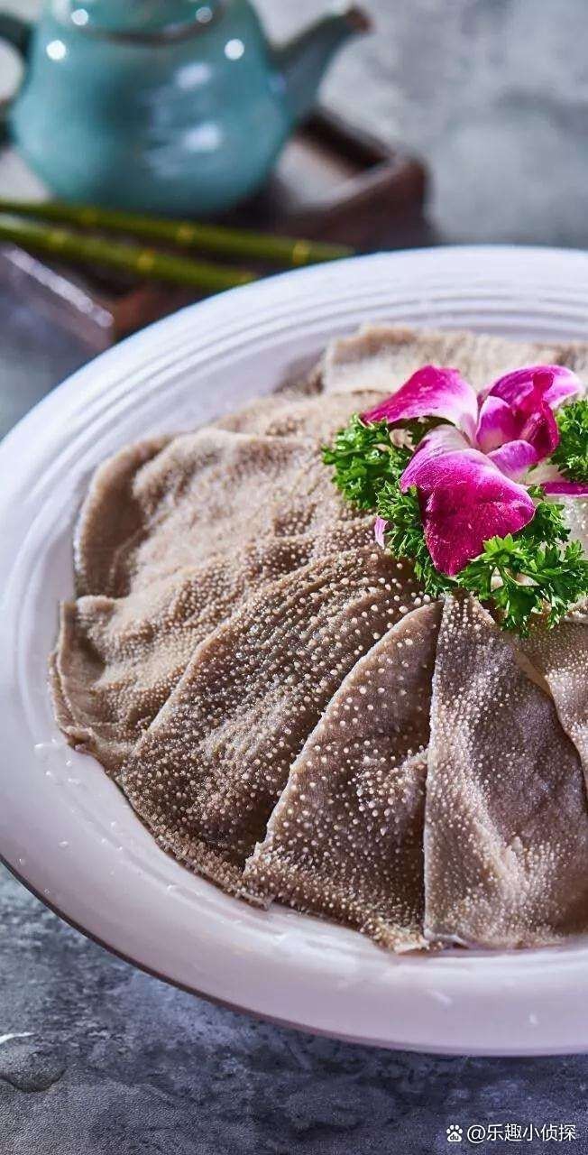 麟游龍魚店【水族世界的奇妙角落——麟游龍魚店】