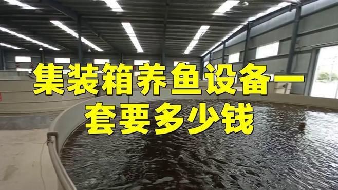 集裝箱養(yǎng)魚設(shè)備一套要多少錢【一套集裝箱養(yǎng)魚設(shè)備一套要多少錢】