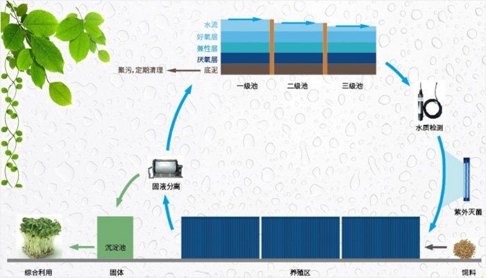 集裝箱養(yǎng)魚設(shè)備一套要多少錢【一套集裝箱養(yǎng)魚設(shè)備一套要多少錢】