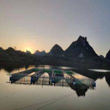 集裝箱養(yǎng)魚設(shè)備一套要多少錢【一套集裝箱養(yǎng)魚設(shè)備一套要多少錢】
