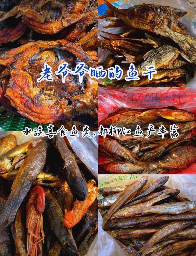 黔南布依族苗族自治州水族批發(fā)市場(chǎng)【黔南州水族批發(fā)市場(chǎng)】