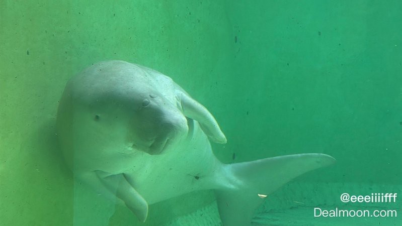 理塘水族店【北京理塘水族店如果開(kāi)業(yè)會(huì)有什么特色】 理塘水族店【北京理塘水族店如果開(kāi)業(yè)會(huì)有什么特色】 全國(guó)水族館企業(yè)名錄 第3張