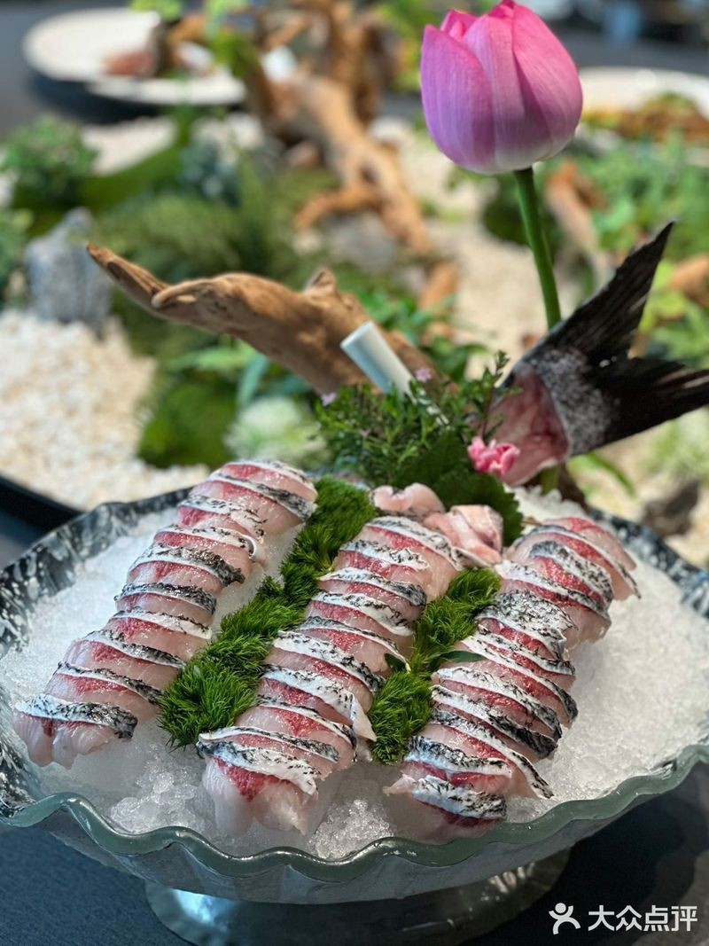 相山龍魚(yú)店【《相山龍魚(yú)店：水族世界的奇妙角落》】