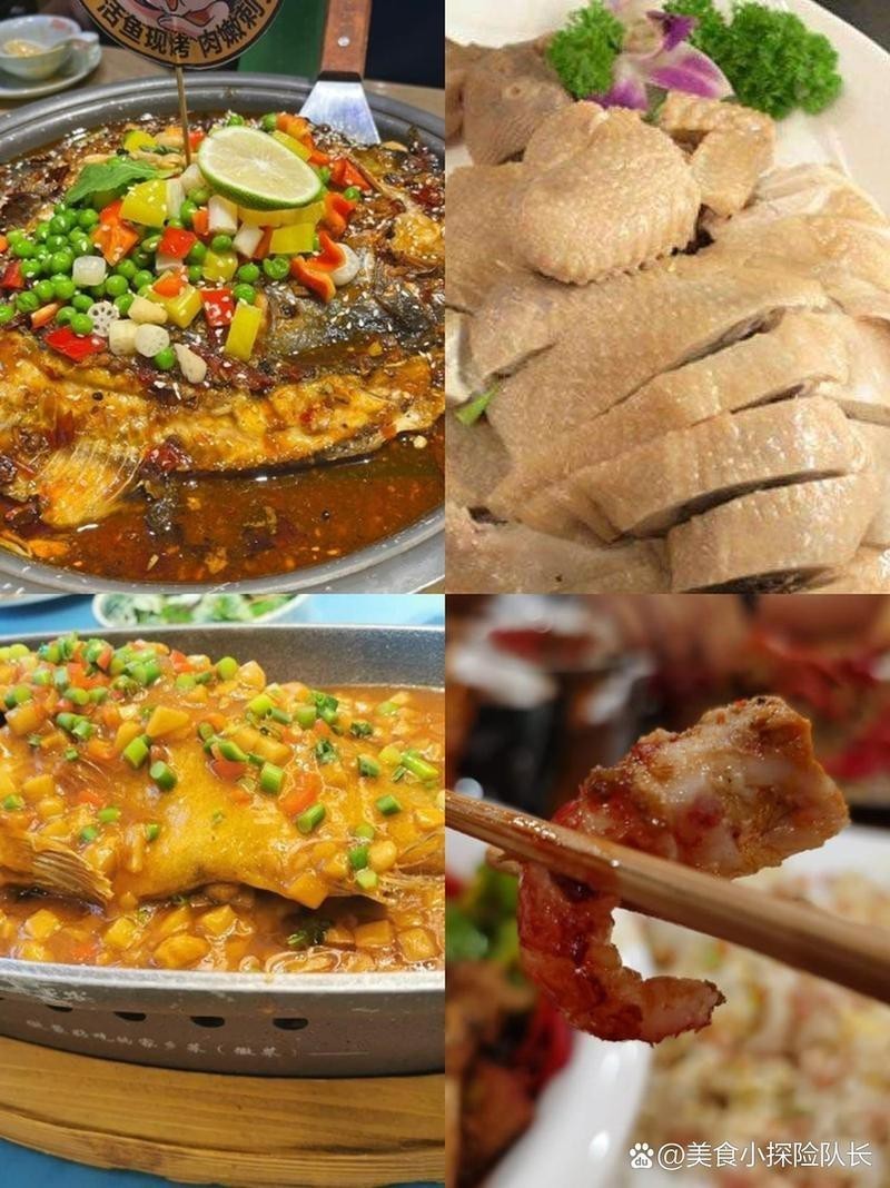相山龍魚(yú)店【《相山龍魚(yú)店：水族世界的奇妙角落》】