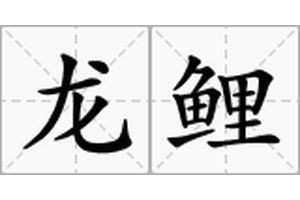 龍鯉是什么魚【魚塘中發(fā)現(xiàn)“化龍鯉”引發(fā)網(wǎng)絡(luò)熱議】