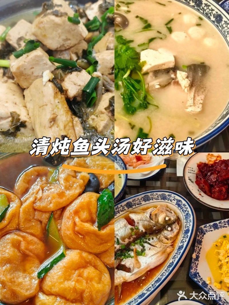 馬山龍魚店【無錫馬山龍魚店：獨(dú)特水族魅力的所在，馬山龍魚店】