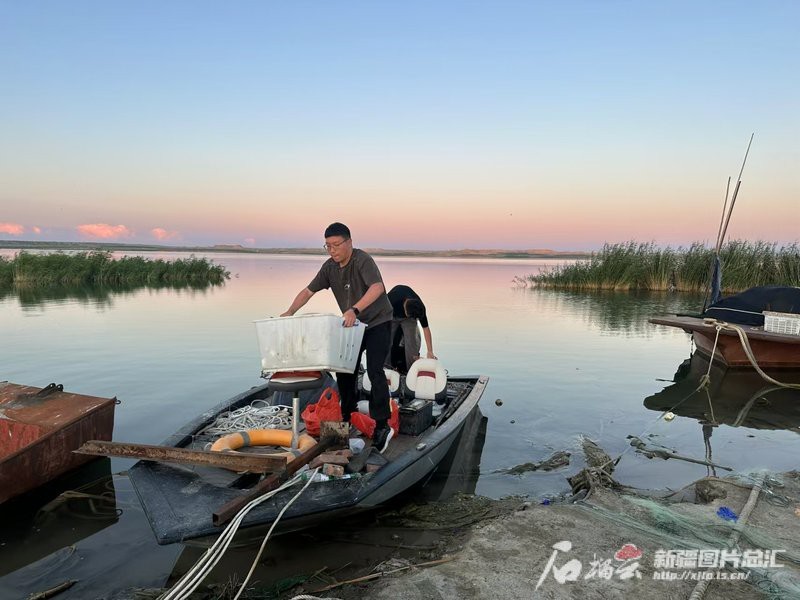 阿拉善左旗龍魚店【《阿拉善左旗龍魚店：水族世界的璀璨明珠》】 阿拉善左旗龍魚店【《阿拉善左旗龍魚店：水族世界的璀璨明珠》】 全國水族館企業(yè)名錄 第4張