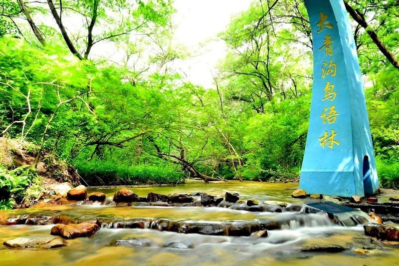 阿拉善左旗龍魚店【《阿拉善左旗龍魚店：水族世界的璀璨明珠》】 阿拉善左旗龍魚店【《阿拉善左旗龍魚店：水族世界的璀璨明珠》】 全國水族館企業(yè)名錄 第3張