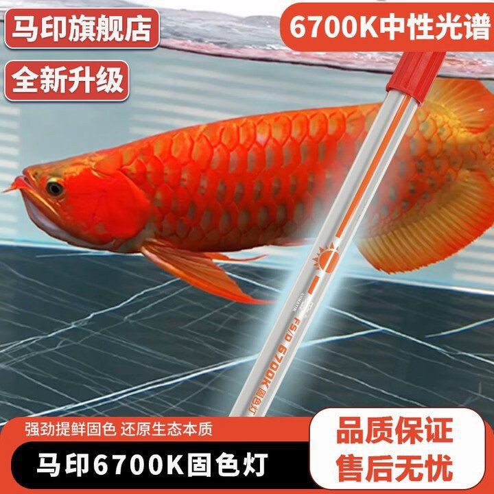 馬印燈增艷潛水燈是正規(guī)產(chǎn)品嗎【馬印燈增艷潛水燈為正規(guī)產(chǎn)品需綜合多方面考量】