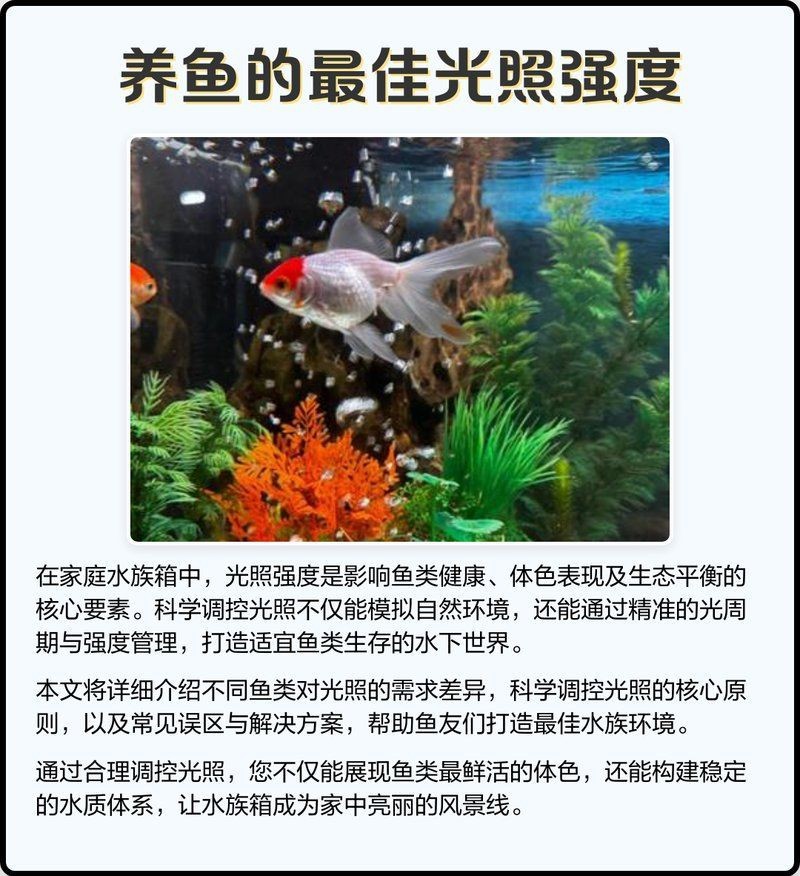 2700K燈對紅龍的影響【2700k燈對紅龍的影響】