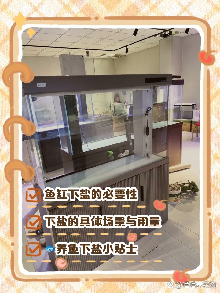 淡水魚放鹽的正確方法【淡水魚放鹽是提升魚肉風味與延長保鮮期的有效手段】 淡水魚放鹽的正確方法【淡水魚放鹽是提升魚肉風味與延長保鮮期的有效手段】 龍魚論壇 第7張