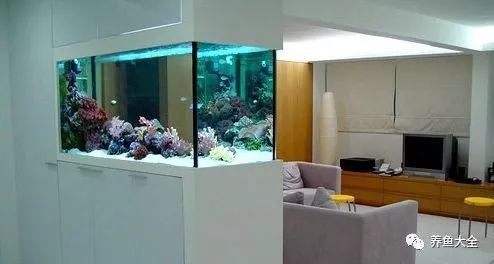 淡水魚放鹽的正確方法【淡水魚放鹽是提升魚肉風味與延長保鮮期的有效手段】 淡水魚放鹽的正確方法【淡水魚放鹽是提升魚肉風味與延長保鮮期的有效手段】 龍魚論壇 第6張