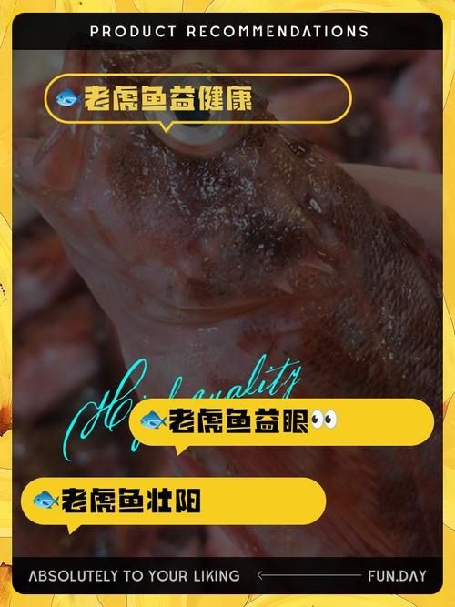 老虎魚圖片及價格【老虎魚市價多少錢一條】