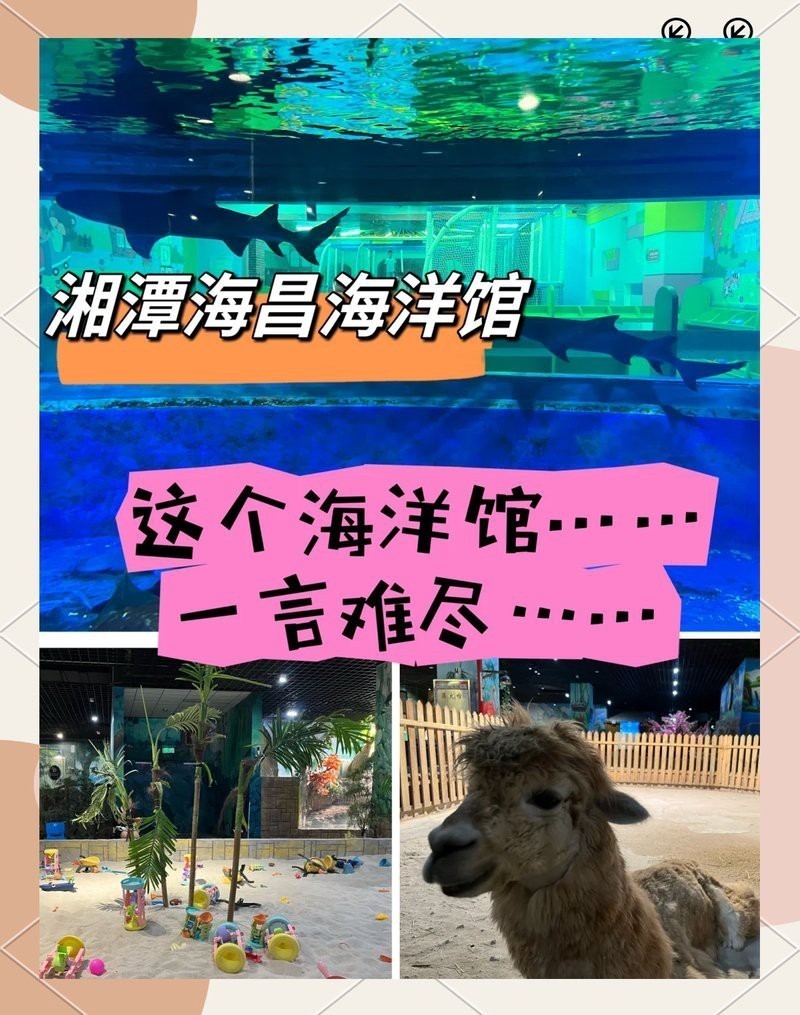 <strong><mark>湘潭</mark></strong>縣水族店【<strong><mark>湘潭</mark></strong>縣水族店的價格范圍】