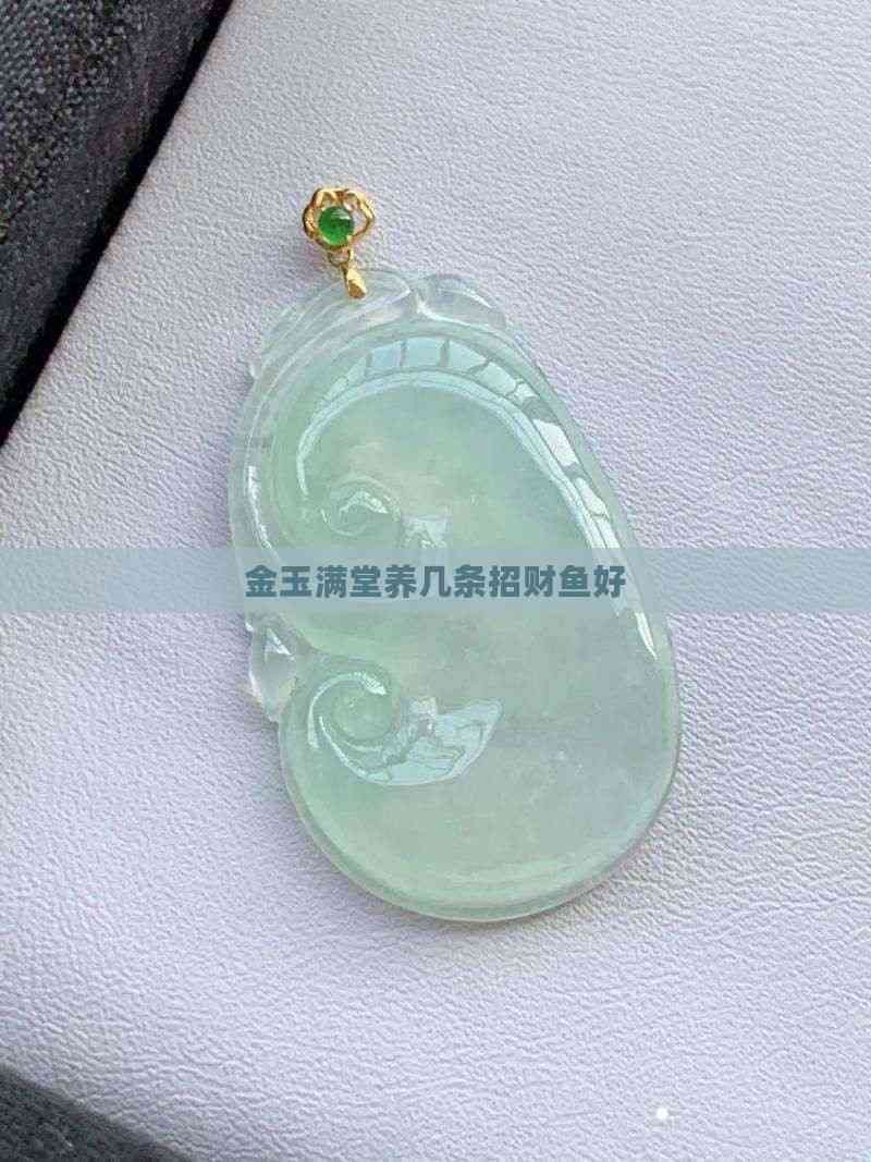 招財魚為什么只養(yǎng)一條【《招財魚為什么只養(yǎng)一條》】 招財魚為什么只養(yǎng)一條【《招財魚為什么只養(yǎng)一條》】 龍魚論壇 第5張