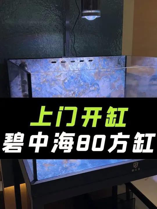 澤當水族店【養泰獅澤當水族店有哪些特色產品澤當水族店具體地址】