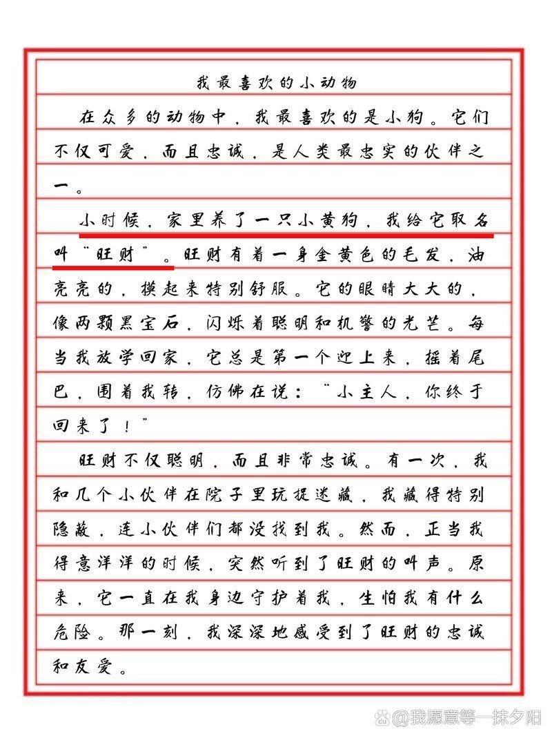 花鳥魚蟲寵物【它嬌小可愛的體態6,樂趣的多元世界】