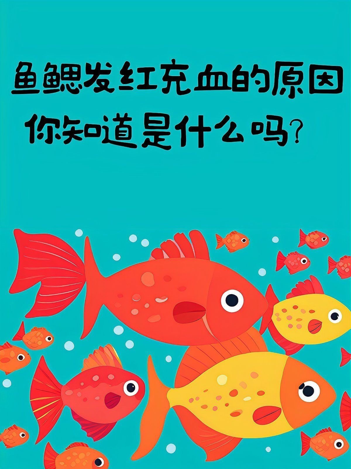 魚充血的5大癥狀【魚充血是魚類養殖或飼養中常見的五大癥狀及其詳細解析】